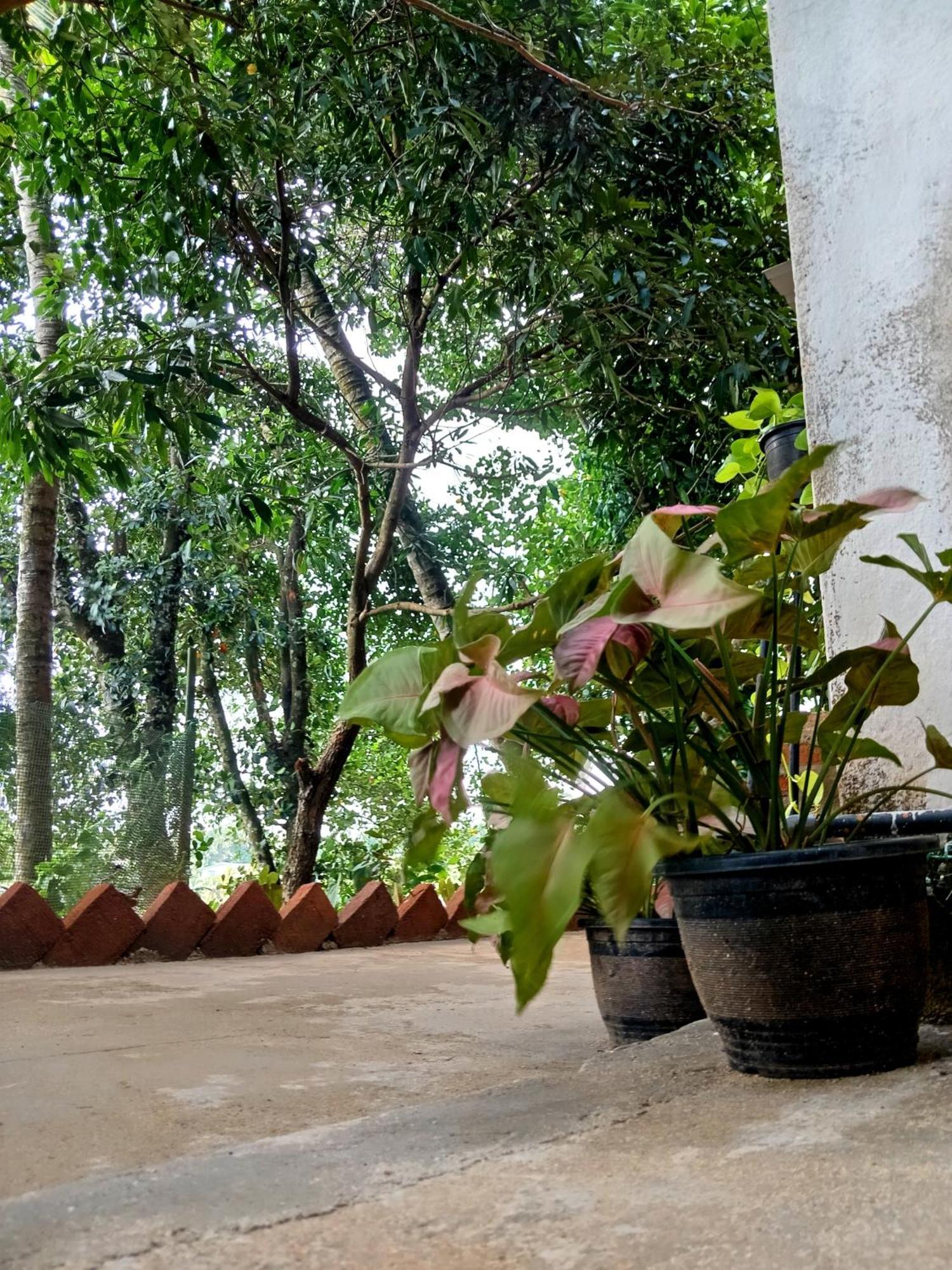 Fly Infinity - Home Stay Kandy Eksteriør bilde