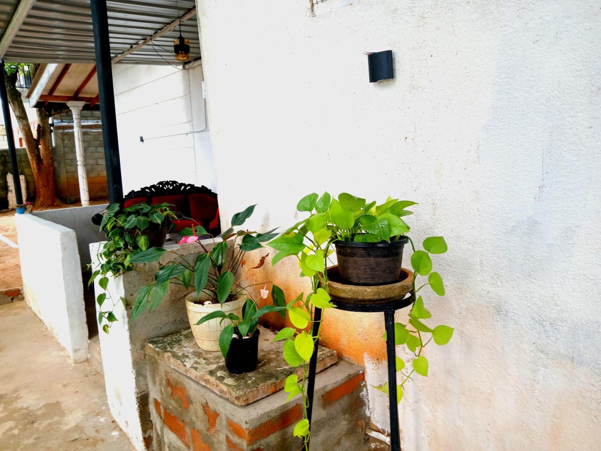 Fly Infinity - Home Stay Kandy Eksteriør bilde