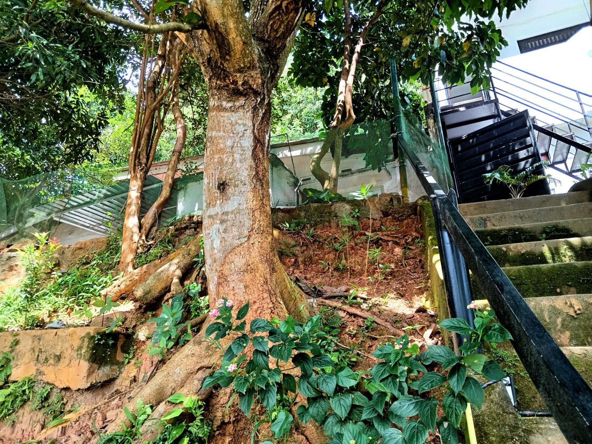 Fly Infinity - Home Stay Kandy Eksteriør bilde