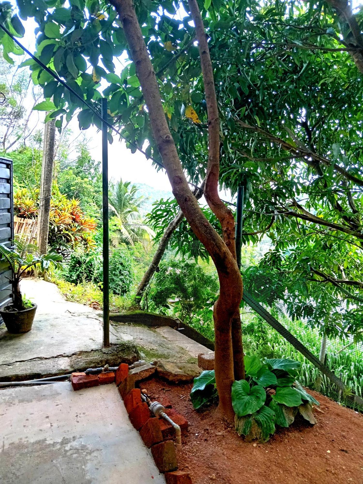 Fly Infinity - Home Stay Kandy Eksteriør bilde