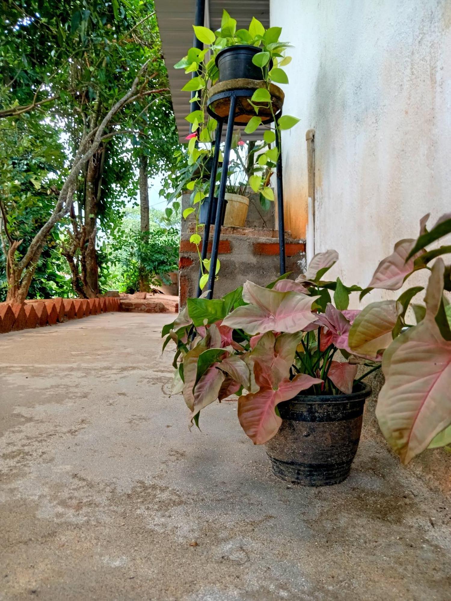 Fly Infinity - Home Stay Kandy Eksteriør bilde