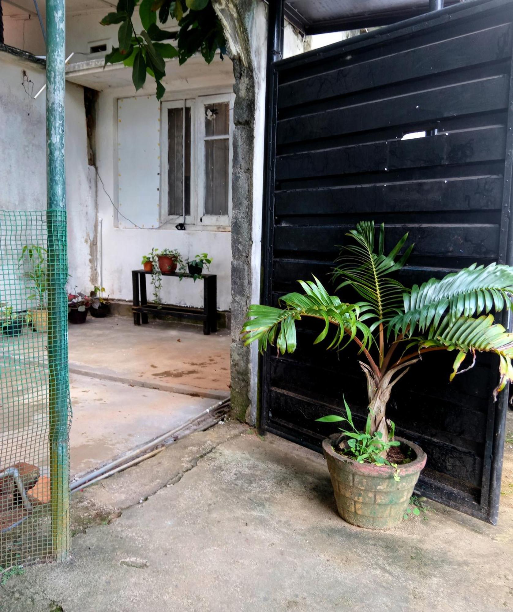 Fly Infinity - Home Stay Kandy Eksteriør bilde