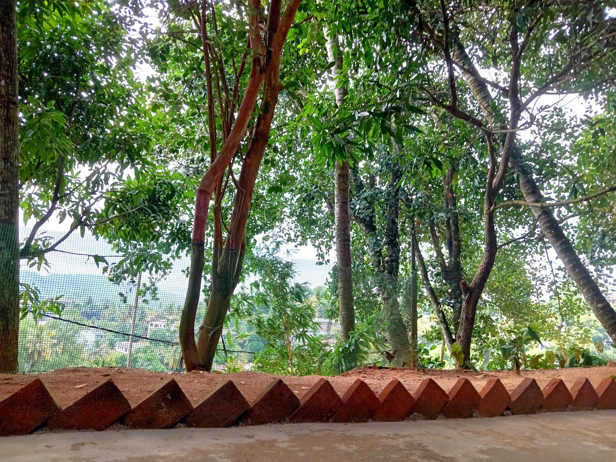 Fly Infinity - Home Stay Kandy Eksteriør bilde